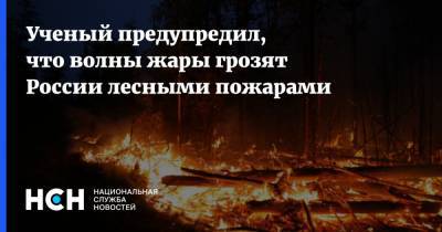 Ученый предупредил, что волны жары грозят России лесными пожарами