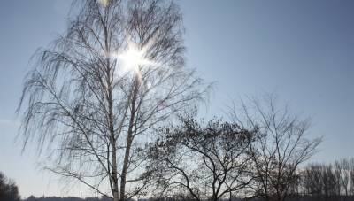 В понедельник тепло и ветрено. Погода в Ульяновской области 19 апреля