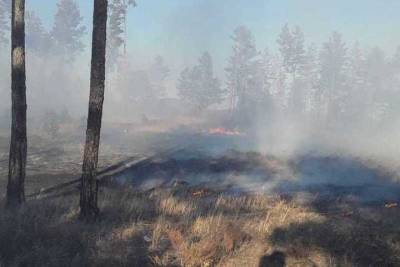 За выходные в Бурятии потушено шесть лесных пожаров