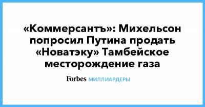 «Коммерсантъ»: Михельсон попросил Путина продать «Новатэку» Тамбейское месторождение газа