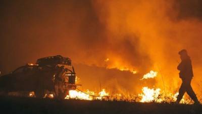 Гидрометцентр перечислил регионы с высоким риском природных пожаров