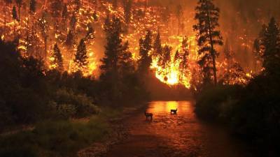 Вильфанд назвал самые пожароопасные регионы России