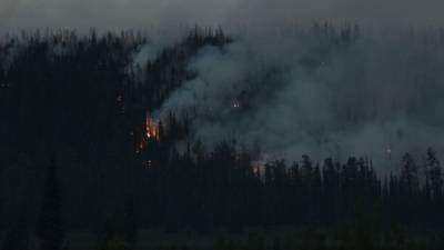 Гидрометцентр перечислил регионы РФ с наивысшими рисками природных пожаров