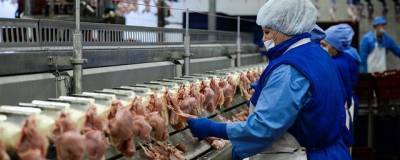Цены на куриное мясо в РФ снижаются