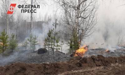 В Забайкалье тушат лесные пожары в восьми районах