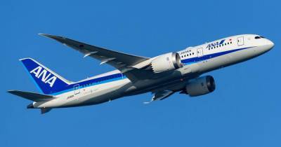 Названа причина экстренной посадки японского Boeing в Новосибирске