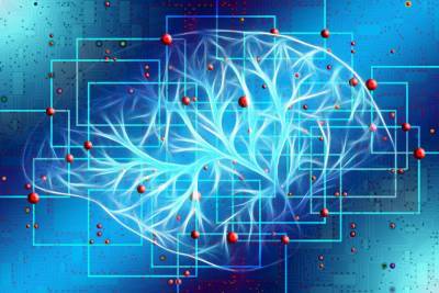Исследователи убедились в зависимости уровня интеллекта от активности мозга