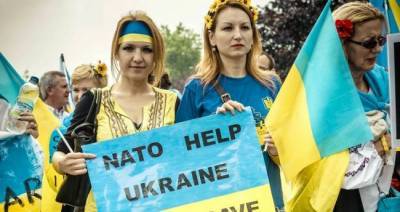 Петр Олещук - В Киеве признали, что НАТО не хочет принимать Украину в свой состав - eadaily.com - Киев