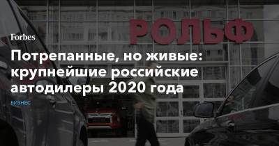 Потрепанные, но живые: крупнейшие российские автодилеры 2020 года