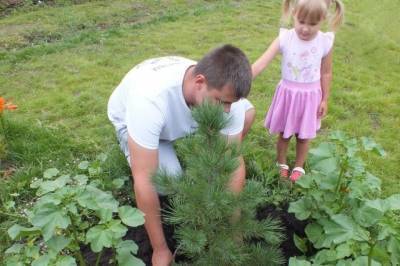 В селе возле Хабаровска высадят 3,5 тыс сеянцев кедра, создав «Сад памяти»