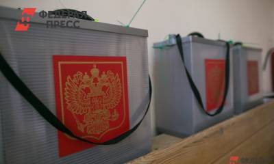 В Красноярске оспаривают итоги довыборов в горсовет