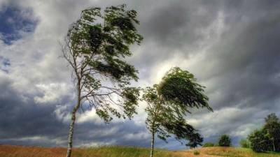 Татарстанцев предупредили о сильном ветре