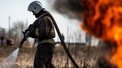 Новая весна, новые пожары: в регионах России начали гореть не только леса, но и дачи