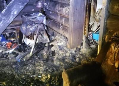 При пожаре в Московской области погибли мать и двое детей, жившие в бане