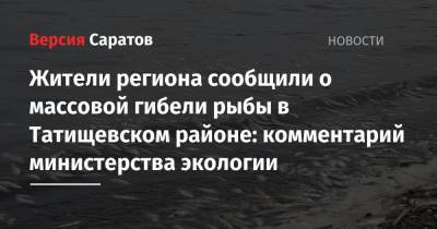 Жители региона сообщили о массовой гибели рыбы в Татищевском районе: комментарий министерства экологии