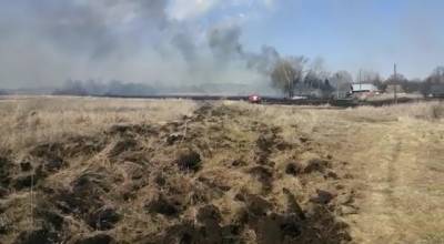 Семь построек сгорели в Большеболдинском районе