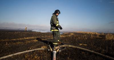 Калининградские пожарные в воскресенье потушили больше 30 палов травы