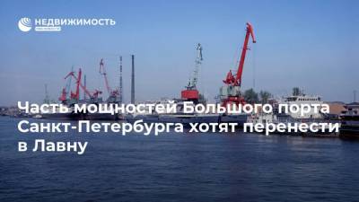 Часть мощностей Большого порта Санкт-Петербурга хотят перенести в Лавну