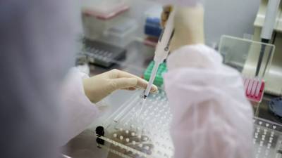 В России за сутки провели 263 тысячи тестов на коронавирус