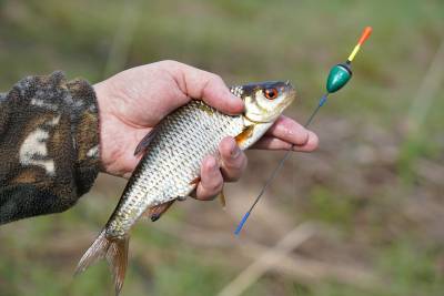 Стали известны новые правила любительской рыбалки