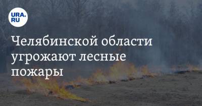 Челябинской области угрожают лесные пожары