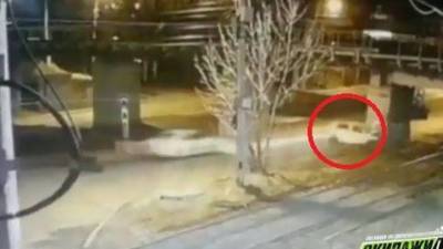 Смертельная авария во Владивостоке попала на видео