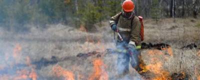 Первые лесные пожары зафиксированы в Башкирии