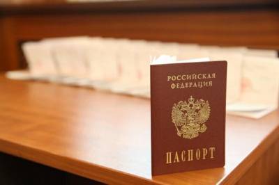 МВД назвало основное отличие обычных паспортов от электронных