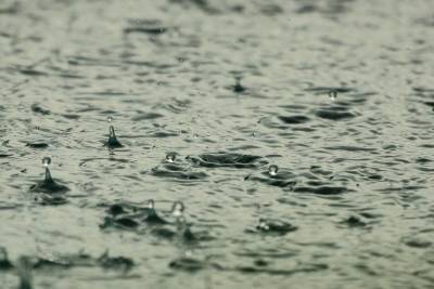 В Марий Эл на неделе ожидается переменчивая погода и дожди