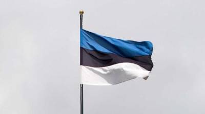 Эстонский депутат проехался по экс-президенту за идею о запрете въезда в ЕС для россиян