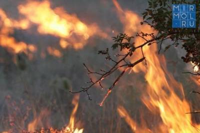 В Дагестане фиксируется высокая степень опасности возникновения лесных пожаров