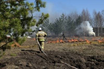 Ивановцев предупреждают: из-за пала травы можно «погореть»