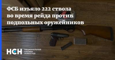 ФСБ изъяло 222 ствола во время рейда против подпольных оружейников