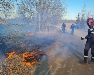 Фото: жители Кобринского поселения встали на борьбу с поджогами травы