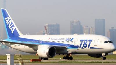 Пилоту стало плохо: в России японский самолет совершил экстренную посадку