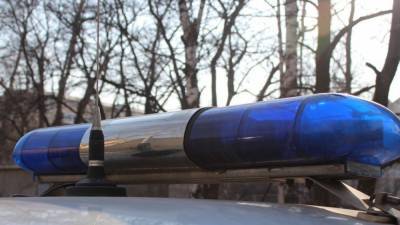 Водитель иномарки насмерть сбил 57-летнего пешехода на трассе в Ленобласти