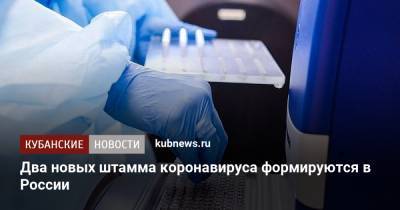 Два новых штамма коронавируса формируются в России