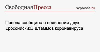 Попова сообщила о появлении двух «российских» штаммов коронавируса