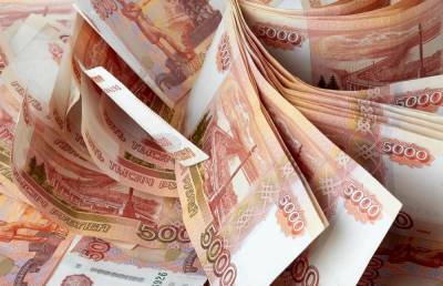 Сенаторы от Башкирии заработали в 2020 году почти 14 млн рублей на двоих