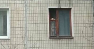 Уже раз выпал: в Кривом Роге ребенок регулярно стоит на окне многоэтажки (видео)