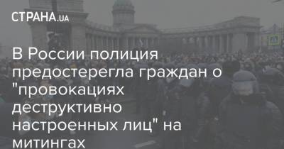 В России полиция предостерегла граждан о "провокациях деструктивно настроенных лиц" на митингах