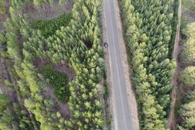 Власти Забайкалья ограничат посещение леса с 20 апреля по 10 мая