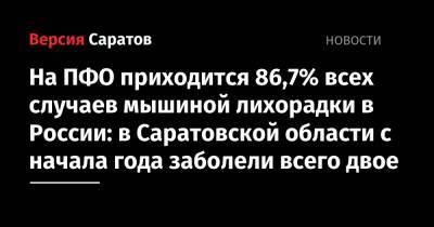 На ПФО приходится 86,7% всех случаев мышиной лихорадки в России: в Саратовской области с начала года заболели всего двое