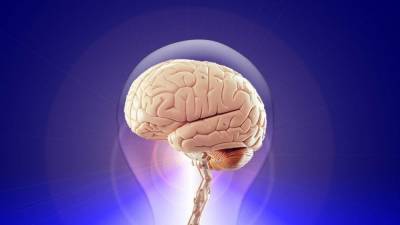 Российские ученые подтвердили связь между активностью мозга и уровнем интеллекта