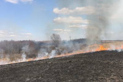 МЧС: 733 пала сухой травы зафиксировали в Смоленской области к 19 апреля