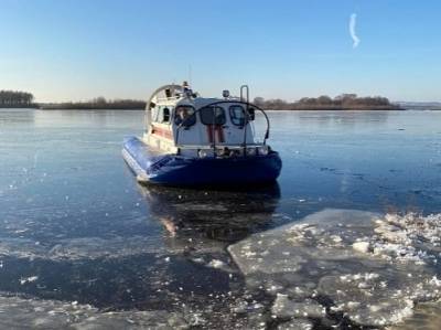 Пятерых детей спасли с льдины в Городецком районе