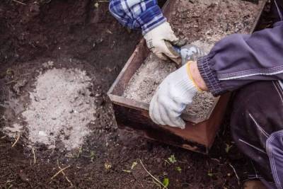 Как раскислить почву на участке – полезные советы для садоводов и огородников - skuke.net