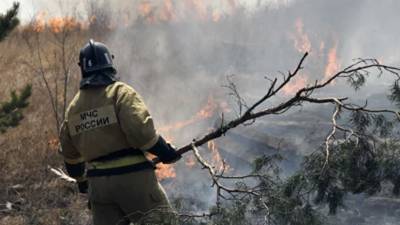 В Тюменской области рассказали о работе спасателей по тушению лесных пожаров