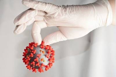 В Петербурге ученые изобрели кожный тест на иммунитет к коронавирусу