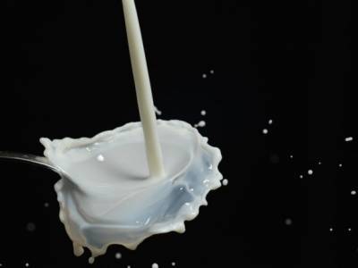 Эксперты рассказали, что продают магазины под видом пастеризованного молока